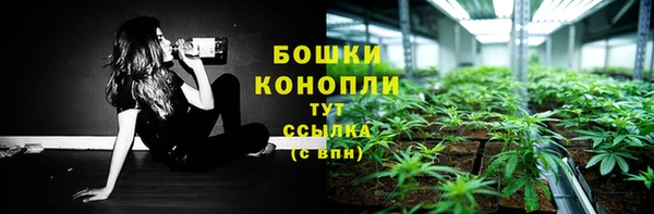 гидра Алексеевка