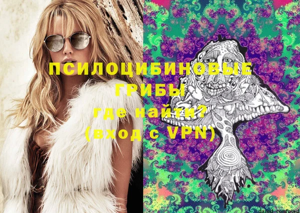 гидра Алексеевка