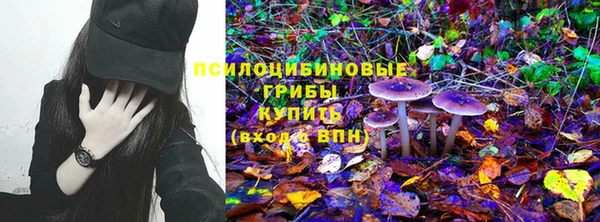 apvp Алзамай