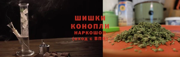 apvp Алзамай