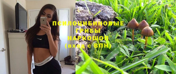 гидра Алексеевка